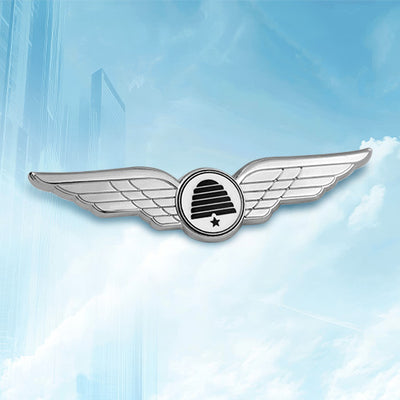 Custom Pilot Wings Pin Silver With Hexagon and Star Detail Against Government Agency Skyline for State Service Recognition