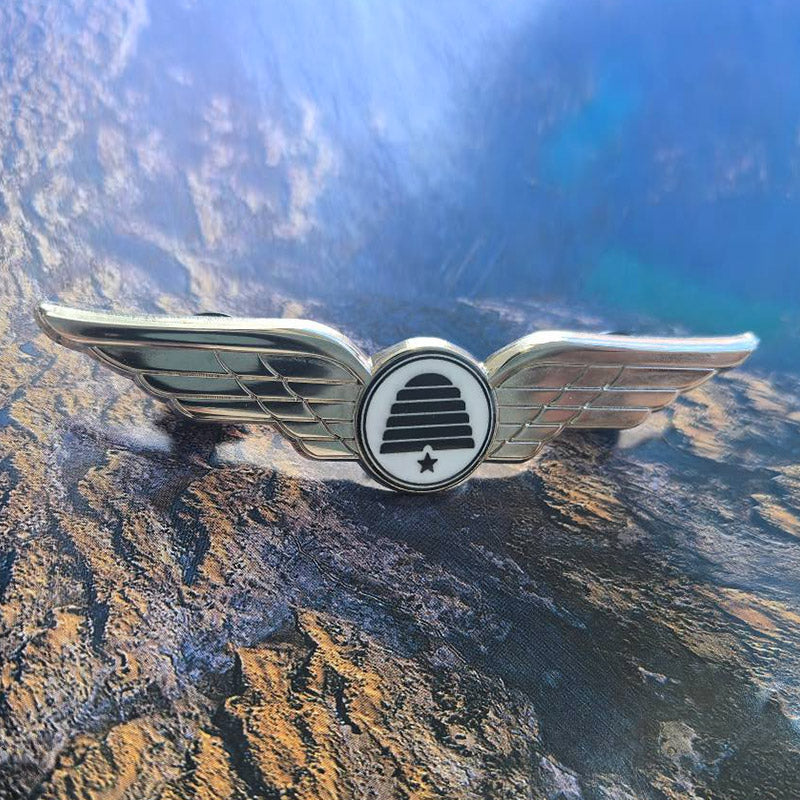 Pilot wings pin with logo for U.S. State & Municipal Governments Identity