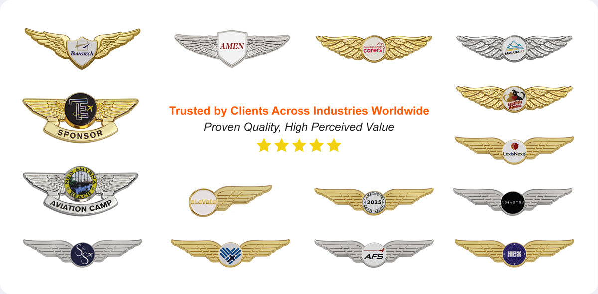 Pilot Wings Pin Display