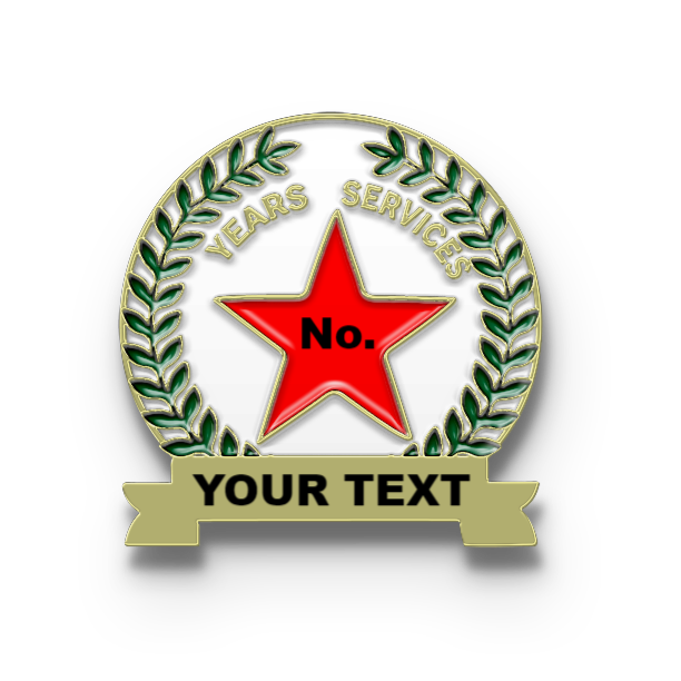 Years of Service Pins with Custom Star Years & Bottom Text