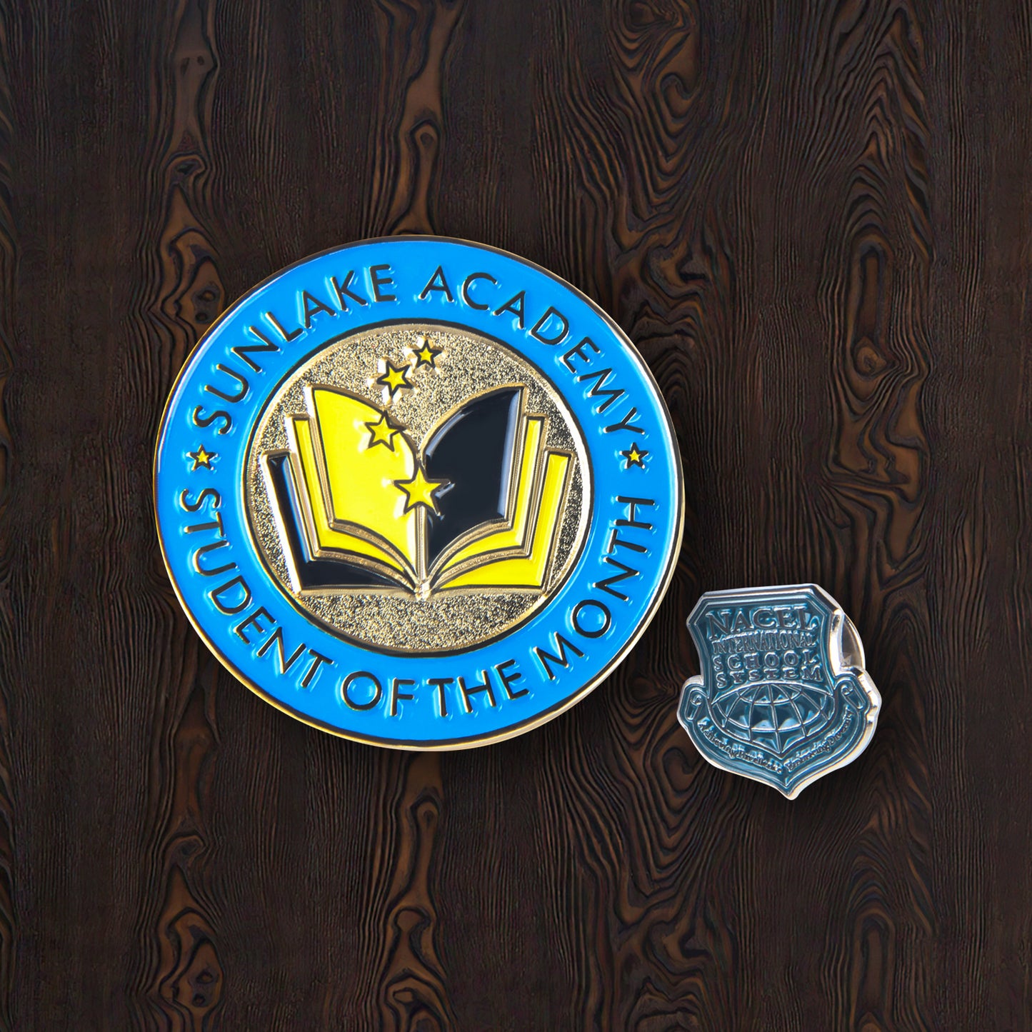 Custom School Institute Academic Organization Pin