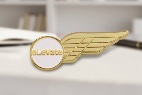 Custom Pilot Wing Pins Gold Metal Design With Custom Text 'eLevate' And Stylized Wing Presented In Private School Environment For Academic Recognition And Brand Identity