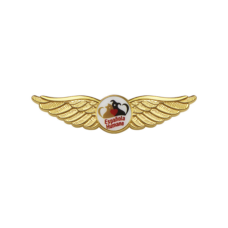 Pilot_wings_pin_flow_3